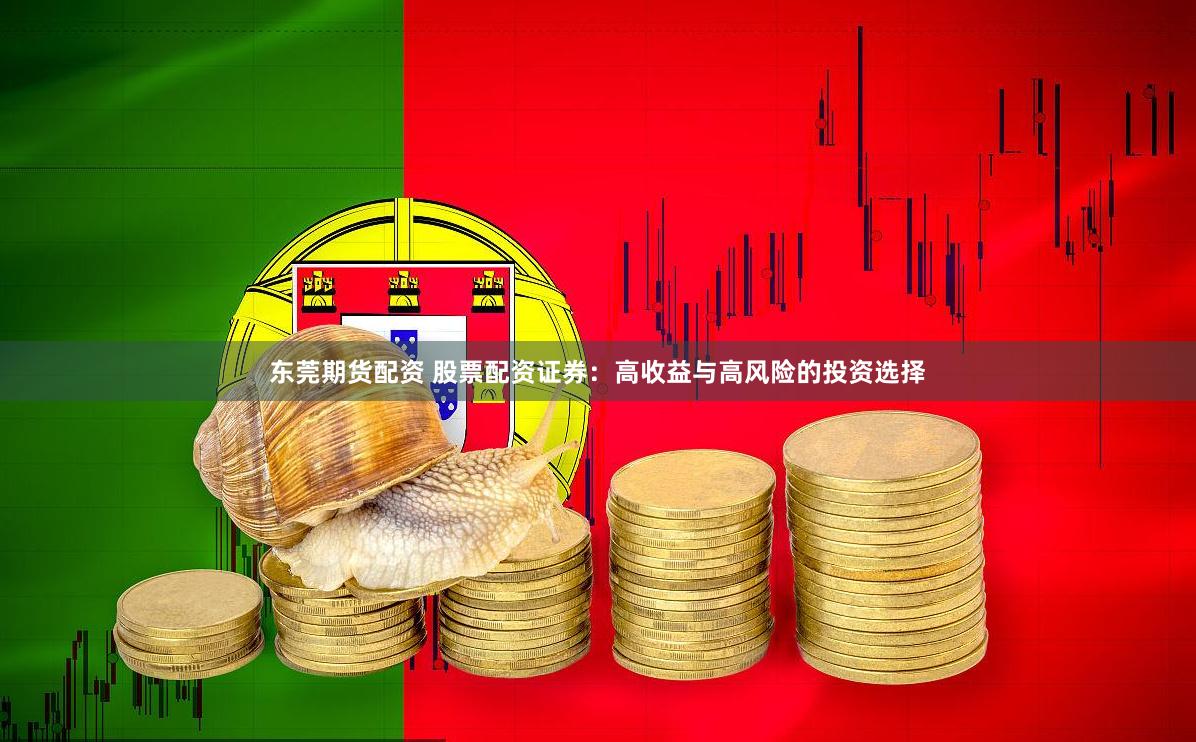 东莞期货配资 股票配资证券：高收益与高风险的投资选择
